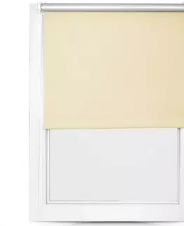 Rolety Roleta Mini Silver 80/150 MGR SXL-056