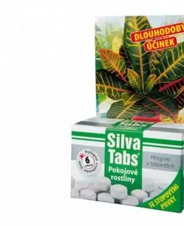 Grily Kinekus Hnojivo v tabletách IZBOVÉ RASTLINY Silva tabs 25ks