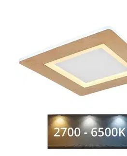 Svietidlá Globo 41767Q - LED Stropné svietidlo CLAY LED/23W/230V 41767Q