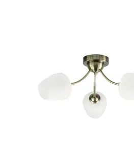Svietidlá  Prisadený luster ZINA 3xE27/40W/230V mosadz/biela 33-22585