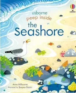 Leporelá, krabičky, puzzle knihy Peep Inside the Seashore - Anna Milbourne,Simona Dimitri