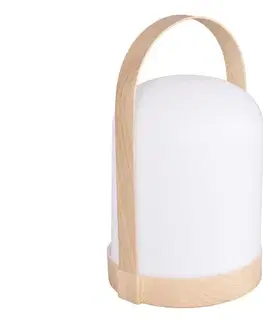 Lampy  Dekoratívna stolná LED lampa RGBW MINORKA LED/0,3W/4,5V 3xAA 330642