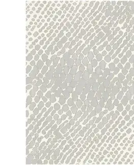 Moderné koberce Koberec Shade 0,8/1,5 24321 861