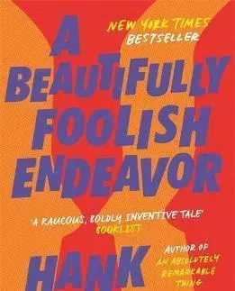 Sci-fi a fantasy A Beautifully Foolish Endeavor - Hank Green
