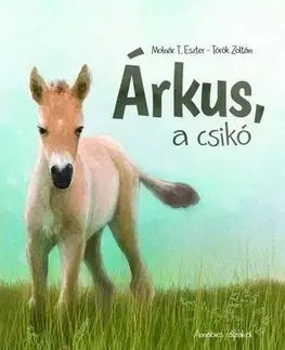 Rozprávky Árkus, a csikó - Zoltán Török,Eszter Molnár