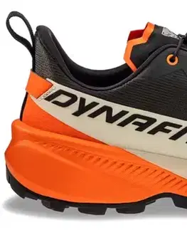 Trail Dynafit Traverse 2 GORE-TEX M Veľkosť: 41 EUR