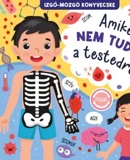 Leporelá, krabičky, puzzle knihy Amiket nem tudtál a testedről
