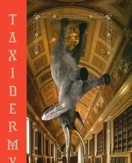 Umenie - ostatné Taxidermy - Alexis Turner