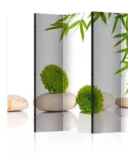 Paravány Paraván Green Relax Dekorhome