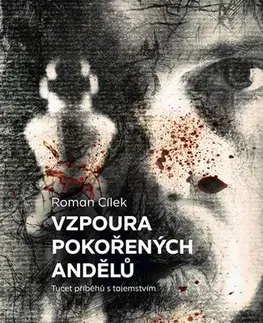 Detektívky, trilery, horory Vzpoura pokořených andělů - Roman Cílek