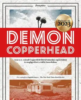Beletria - ostatné Demon Copperhead - Barbara Kingsolver