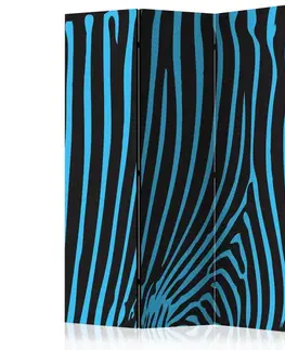 Paravány Paraván Zebra pattern (turquoise) Dekorhome