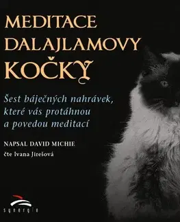Duchovný rozvoj Synergie Meditace dalajlamovy kočky