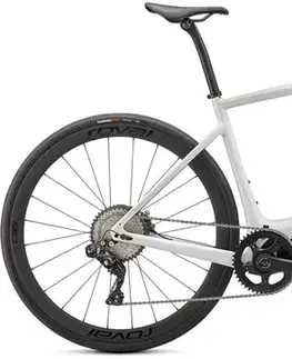 Cestné bicykle Specialized Turbo Creo SL Expert Veľkosť: L