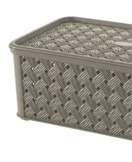 Úložné boxy Kinekus Box plastový, objem 4L, mokka, Arianna, TONTARELLI