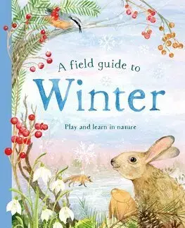 Rozprávky A Field Guide to Winter - Gabby Dawnay,Dorien Brouwers