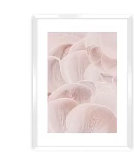 Obrazy Plagát Pastel Pink I