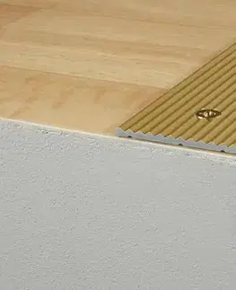 Schodové lišty a profily Schodový profil 40 x 20 mm (skrutkovací) Stříbro E01