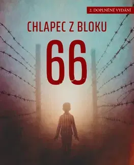 Historické romány Chlapec z bloku 66, 2. vydání - Limor Regev