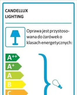 Stropná svetla Výpredaj stropných svietidiel Stropná lampa Borgo 30 modrá 1X60W E27