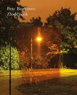 Romantická beletria Zlodějíček - Petr Borkovec
