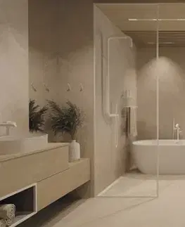 Kúpeľňové batérie DEANTE - Silia bianco Bidetová batéria, podomietková, s bidetovou ručnou sprchou BQS_A34M