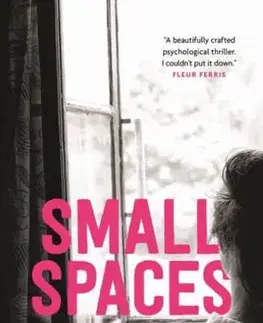 Cudzojazyčná literatúra Small Spaces - Sarah Epstein
