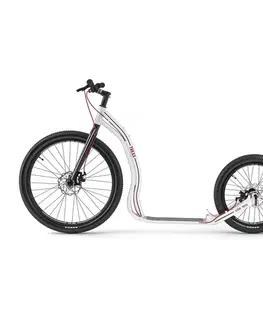 Kolobežky Yedoo Trexx Disc 26/20" White