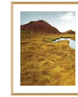 Obrazy Obraz Grassy Field I 40x50cm
