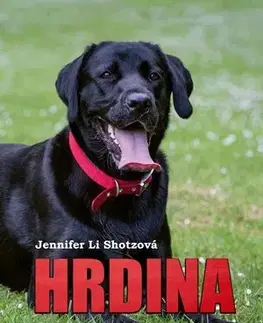 Dobrodružstvo, napätie, western Hrdina (1) - Jennifer Li Shotzová