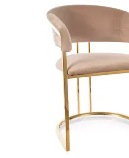 Jedálenské stoličky a kreslá Stolička Tulipe Velvet