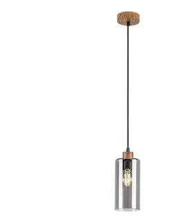 Svietidlá Rabalux 72141 - Luster na lanku TANNO 1xE27/25W/230V dub 72141