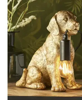 Lampy Endon 107364 - Stolná lampa PUPPY 1xE14/7W/230V zlatá 107364