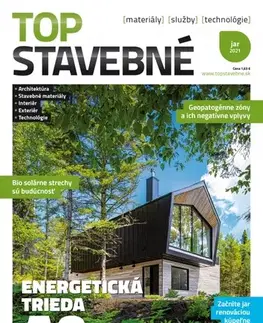 Domov, zariaďovanie Top stavebné materiály, služby, technológie jar 2021 - Kolektív autorov