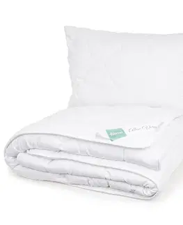 Prikrývky 4Home Set prikrývky a vankúša Aloe Premium, 140 x 200 cm, 70 x 90 cm