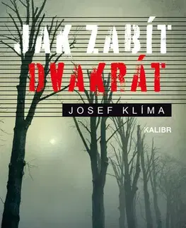 Detektívky, trilery, horory Jak zabít dvakrát - Josef Klíma