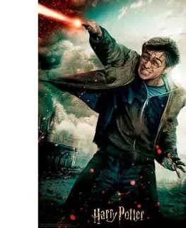 3D puzzle 3D puzzle Harry Potter 300 dielikov