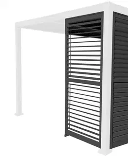 Bioklimatické pergoly Bočný panel k bioklimatickej pergole SCHATLER MODERN HomeGarden