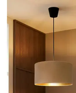 Svietidlá BRILAGI - Závesný luster VELVET 1xE27/60W/230V Ø 40 cm béžová/zlatá 8590828052272