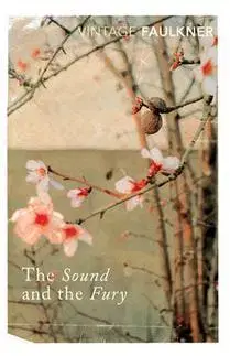 Cudzojazyčná literatúra Sound And The Fury - William Faulkner