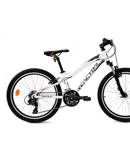 Bicykle Reactor LX 24" 2025 biela - 16" (155-165 cm)