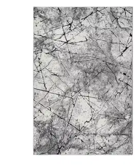 Moderné koberce Koberec Frisee Apollo 0,8/1,5 2047 345