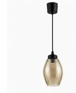 Svietidlá BRILAGI - LED luster s lankom R GLASS 1xE27/60W/230V pr. 17 cm čierna/dymovo-béžová NSTK7499+TK6439A