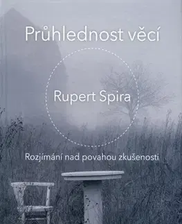 Duchovný rozvoj Průhlednost věcí - Rupert Spira