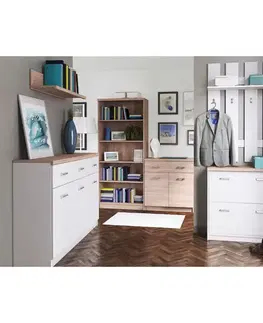 Predsieňové steny KONDELA Topty Typ 39 60 vešiakový panel biela