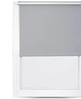 Rolety Roleta Mini Silver 110/150 MGR SXL-054
