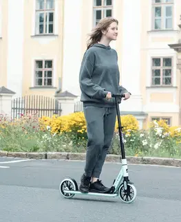 Kolobežky Skladacia kolobežka inSPORTline Wayomint
