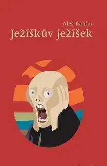 Novely, poviedky, antológie Ježíškův ježíšek - Aleš Káňa