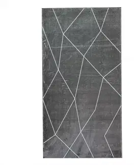 Moderné koberce Koberec Roxane Silk 1,4/1,9 105 hnedý
