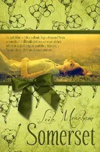 Beletria - ostatné Somerset - Leila Meacham